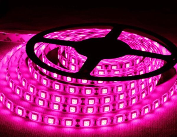 5M LED STRIP ROLL PURPLE 