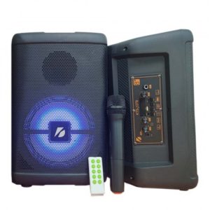 Karaoke Speaker With bluetooth mic all 300x300