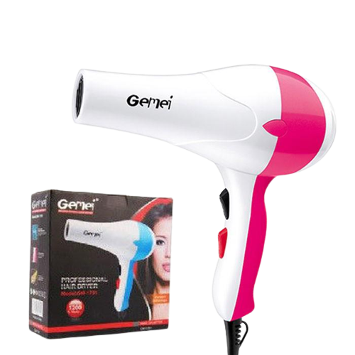 Gemei Gm-1701 Hair Dryer