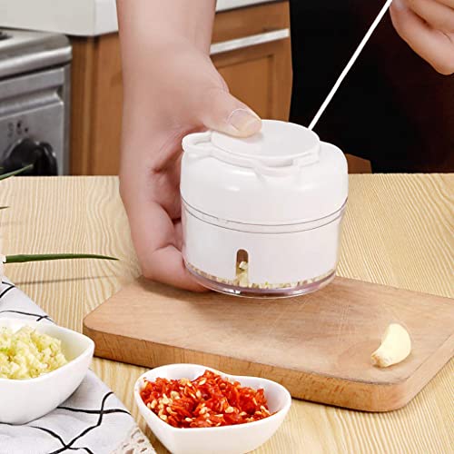 Mini Manual Vegetable Chopper